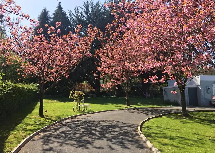 Graisin Apartamento *